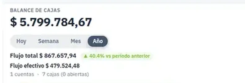 Dashboard detail: cash balance $ 5.799.784,67